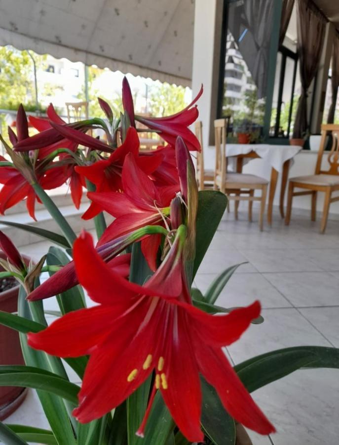 Hotel Rossi Vlora Kültér fotó